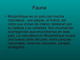 Fauna  Mozambique es un país con mucha naturaleza , sus playas, el Índico, así como sus zonas de interior destacan por su belleza y su variedad. Son muchas las ecorregiones que encontramos en este país. La naturaleza en Mozambique ocupa una buena parte del país, entre parques nacionales, reservas naturales, parajes protegidos…  . 
