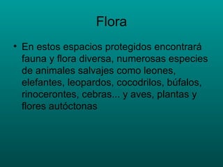 Flora En estos espacios protegidos encontrará fauna y flora diversa, numerosas especies de animales salvajes como leones, elefantes, leopardos, cocodrilos, búfalos, rinocerontes, cebras... y aves, plantas y flores autóctonas 