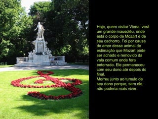 Hoje, quem visitar Viena, verá um grande mausoléu, onde está o corpo de Mozart e de seu cachorro. Foi por causa do amor desse animal de estimação que Mozart pode ser achado e removido da vala comum onde fora enterrado. Ele permaneceu com seu dono até depois do final. Morreu junto ao tumulo de seu dono porque, sem ele, não poderia mais viver.   