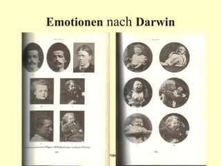 Emotionen  nach  Darwin 