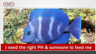 I need the right PH & someone to feed me
 