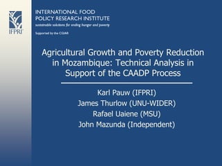 Agricultural Growth and Poverty Reduction
  in Mozambique: Technical Analysis in
      Support of the CAADP Process

              Karl Pauw (IFPRI)
         James Thurlow (UNU-WIDER)
             Rafael Uaiene (MSU)
         John Mazunda (Independent)
 
