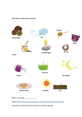 Circle what a plant needs to grow!
Paint
Coconut
Water Moonlight
Salmon steak Sunlight soil
What is missing? ___________________
Taken from: https://www.education.com/worksheet/article/plants/
Transition: Well done! Now it’s time to work in groups!
 