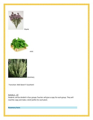 thyme
mint
rosemary
Transition: Well done!!! Excellent!
Activity 1 15’
Students will be divided in four groups.Teacher will give a copy for each group. They will
read the copy and make a brief profile for each plant.
Rosemary Facts
 