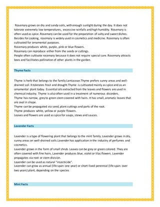 Rosemary grows on dry and sandy soils, with enough sunlight during the day. It does not
tolerate extremely low temperatures, excessive rainfalls and high humidity. Rosemary is
often used as spice. Rosemary can be used for the preparation of salty and sweet dishes.
Besides for cooking, rosemary is widely used in cosmetics and medicine. Rosemary is often
cultivated for ornamental purposes.
Rosemary produces white, purple, pink or blue flowers.
Rosemary can reproduce either from the seeds or cuttings.
People often cultivate rosemary because it does not require special care. Rosemary attracts
bees and facilitates pollination of other plants in the garden.
Thyme Facts
Thyme is herb that belongs to the family Lamiaceae.Thyme prefers sunny areas and well-
drained soil. It tolerates frost and drought.Thyme is cultivated mainly as spice and as an
ornamental plant today. Essential oils extracted from the leaves and flowers are used in
chemical industry. Thyme is also often used in a treatment of numerous disorders.
Thyme has narrow, grey to green stem covered with hairs. It has small, aromatic leaves that
are oval in shape.
Thyme can be propagated via seed, plant cuttings and parts of the root.
Thyme produces white, yellow or purple flowers.
Leaves and flowers are used as spice for soups, stews and sauces.
Lavender Facts
Lavender is a type of flowering plant that belongs to the mint family. Lavender grows in dry,
sunny areas on well-drained soils.Lavender has application in the industry of perfumes and
cosmetics.
Lavender grows in the form of small shrub. Leaves can be grey or green colored. They are
often covered with fine hairs. Lavender produces blue, violet or lilac flowers. Lavender
propagates via root or stem division.
Lavender can be used as natural "insecticide".
Lavender can grow as annual (life span: one year) or short-lived perennial (life span: over
two years) plant, depending on the species
Mint Facts
 
