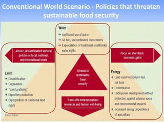 Conventional World Scenario - Policies that threaten
             sustainable food security
 