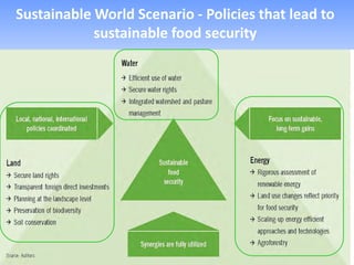 Sustainable World Scenario - Policies that lead to
            sustainable food security
 