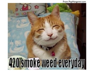 Projects
Milestone
Task Task Task Task
Milestone
From PopHangover.com
 