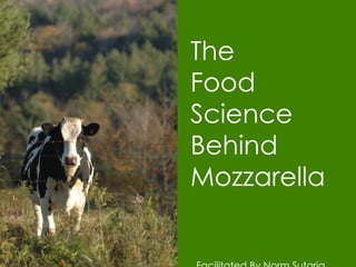 The Food Science Behind  Mozzarella Facilitated By Norm Sutaria   