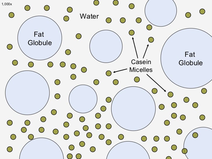 found the proteins elements in chemical mozzarella science food behind The cheese