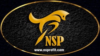 Marketing Plan NSProfit
