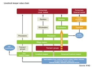 Shaping a new CGIAR Mega Program on Livestock and Fish