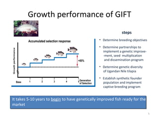 Aquaculture Value Chains