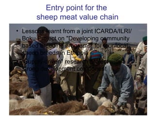From Value Chains to Technology Platforms: The example of sheep meat value chain in Ethiopia