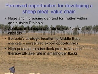 From Value Chains to Technology Platforms: The example of sheep meat value chain in Ethiopia