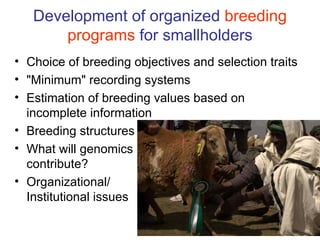 From Value Chains to Technology Platforms: The example of sheep meat value chain in Ethiopia