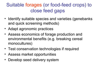 From Value Chains to Technology Platforms: The example of sheep meat value chain in Ethiopia