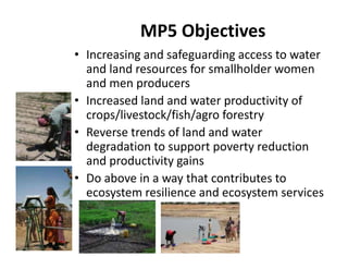 MP5 Objectives
• Increasing and safeguarding access to water 
  and land resources for smallholder women 
  and men producers
  and men producers
• Increased land and water productivity of 
  crops/livestock/fish/agro forestry
  crops/livestock/fish/agro forestry
• Reverse trends of land and water 
  degradation to support poverty reduction 
     g              pp p         y
  and productivity gains
• Do above in a way that contributes to 
  ecosystem resilience and ecosystem services
 