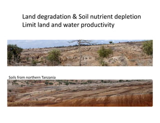 Land degradation & Soil nutrient depletion
        Limit land and water productivity
        Li i l d d              d i i




Soils from northern Tanzania
 