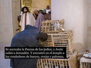 Se acercaba la Pascua de los judíos, y Jesús 
subió a Jerusalén. Y encontró en el templo a 
los vendedores de bueyes, ovejas y palomas, 
 