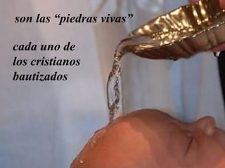 son las “piedras vivas” 
cada uno de 
los cristianos 
bautizados 
 