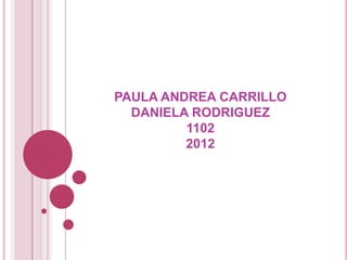 PAULA ANDREA CARRILLO
  DANIELA RODRIGUEZ
         1102
         2012
 