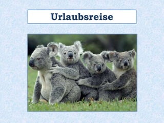 Urlaubsreise
 