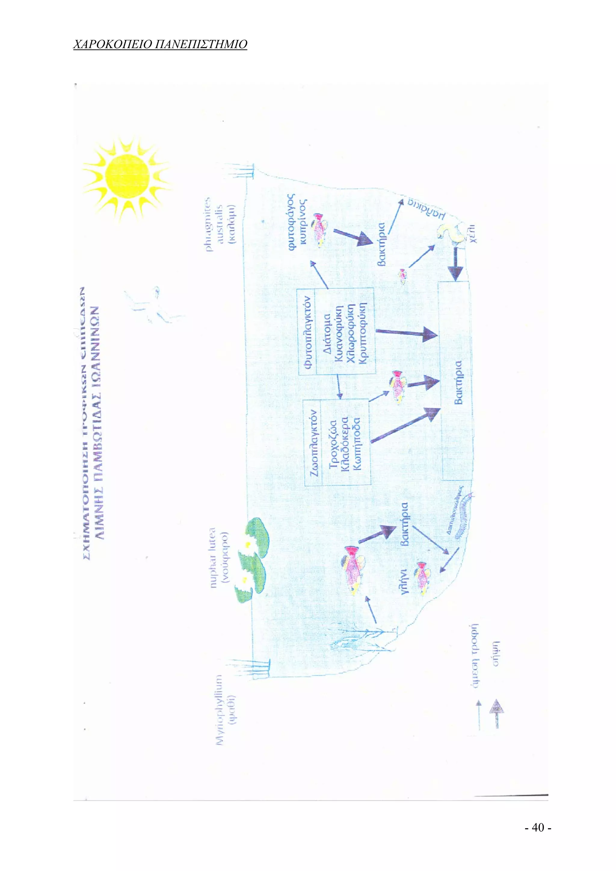 ΧΑΡΟΚΟΠΕΙΟ ΠΑΝΕΠΙΣΤΗΜΙΟ




                          - 40 -
 