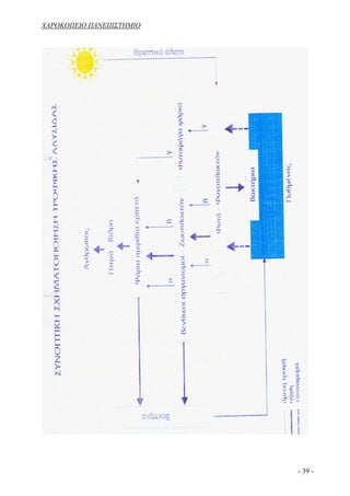 ΧΑΡΟΚΟΠΕΙΟ ΠΑΝΕΠΙΣΤΗΜΙΟ




                          - 39 -
 