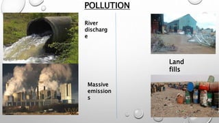 POLLUTION
River
discharg
e
Massive
emission
s
Land
fills
 