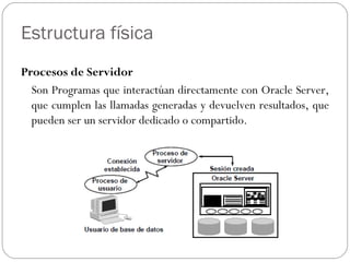 Estructura física <ul><li>Procesos de Servidor  </li></ul><ul><li>Son Programas que interactúan directamente con Oracle Se...