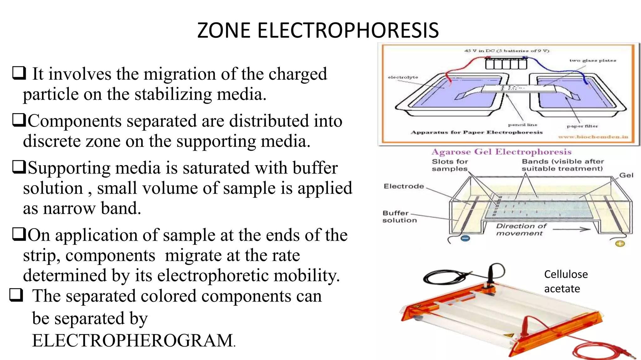 zone electrophoresis applications | PPTX