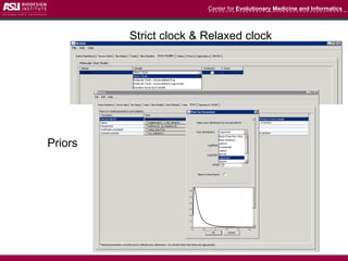 Estimation of divergence times | PPT