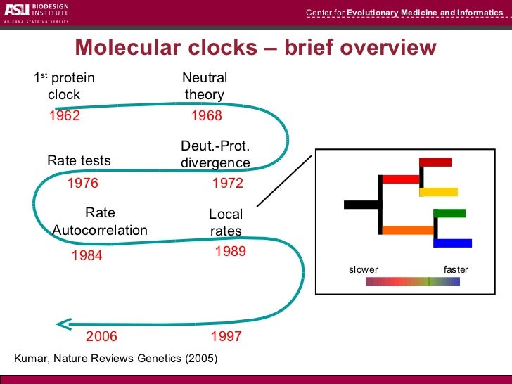 Estimation of divergence times