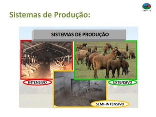 Sistemas de Produção:
 