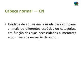 Cabeça normal — CN
• Unidade de equivalência usada para comparar
animais de diferentes espécies ou categorias,
em função das suas necessidades alimentares
e dos níveis de excreção de azoto.
 