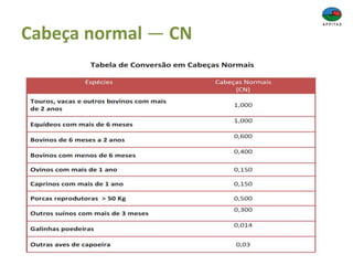 Cabeça normal — CN
 