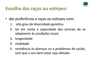 Escolha das raças ou estirpes:
• dar preferência a raças ou estirpes com:
1. alto grau de diversidade genética
2. ter em conta a capacidade dos animais de se
adaptarem às condições locais
3. longevidade
4. vitalidade
5. resistência às doenças ou a problemas de saúde,
sem que o seu bem-estar seja afetado
 