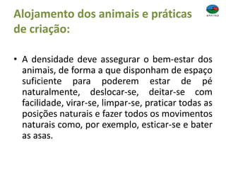 Alojamento dos animais e práticas
de criação:
• A densidade deve assegurar o bem-estar dos
animais, de forma a que disponham de espaço
suficiente para poderem estar de pé
naturalmente, deslocar-se, deitar-se com
facilidade, virar-se, limpar-se, praticar todas as
posições naturais e fazer todos os movimentos
naturais como, por exemplo, esticar-se e bater
as asas.
 