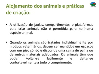 Alojamento dos animais e práticas
de criação:
• A utilização de jaulas, compartimentos e plataformas
para criar animais não é permitida para nenhuma
espécie animal.
• Quando os animais são tratados individualmente por
motivos veterinários, devem ser mantidos em espaços
com um piso sólido e dispor de uma cama de palha ou
de outros materiais adequados. Os animais têm que
poder voltar-se facilmente e deitar-se
confortavelmente a todo o comprimento.
 
