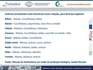 Culturas precedentes mais favoráveis numa rotação, para diversas espécies:
Alface - Aliáceas, Cucurbitáceas, batata
Batata - Cucurbitáceas, Leguminosas, couve-flor ou brócolo
Cebola - Brássicas, Cucurbitáceas, Solanáceas
Cenoura - Aliáceas, Cucurbitáceas, batata, couve-flor ou brócolo, milho
Couve - Aliáceas, batata, Cucurbitáceas
Feijão verde - Aliáceas, cenoura, couve, pimento
Melão - Aliáceas, Brássicas, batata, cenoura
Nabo - Aliáceas, Solanáceas, espinafre
Tomate - Aliáceas, Brássicas, cenoura.
Fonte: Manual de Horticultura em modo de produção biológico, Isabel Mourão
 
