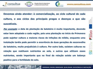 Devemos ainda atender: à comercialização, ao ciclo cultural de cada
cultura, e aos ciclos das principais pragas e doenças a que são
suscetíveis.
Por exemplo: a data de plantação da batateira é muito importante, devendo
estar bem adaptada a cada região, pois uma plantação no início da Primavera
pode sujeitar cultura a maiores riscos de infeções de míldio, enquanto uma
instalação tardia pode permitir a ocorrência de duas gerações de escaravelho
da batateira, muito prejudiciais à cultura. Por outro lado, existem culturas na
rotação que restituem nutrientes ao solo, e outras que utilizam esses
nutrientes, sendo importante que no final da rotação exista um balanço
positivo para a fertilidade do solo.
 