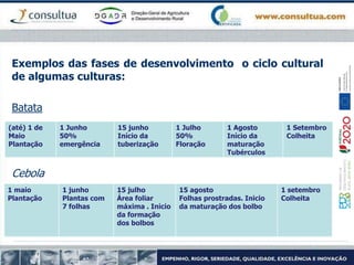 Exemplos das fases de desenvolvimento o ciclo cultural
de algumas culturas:
Batata
Cebola
(até) 1 de
Maio
Plantação
1 Junho
50%
emergência
15 junho
Início da
tuberização
1 Julho
50%
Floração
1 Agosto
Início da
maturação
Tubérculos
1 Setembro
Colheita
1 maio
Plantação
1 junho
Plantas com
7 folhas
15 julho
Área foliar
máxima . Inicio
da formação
dos bolbos
15 agosto
Folhas prostradas. Inicio
da maturação dos bolbo
1 setembro
Colheita
 