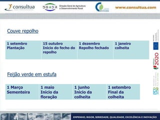 Couve repolho
1 setembro
Plantação
15 outubro
Inicio do fecho do
repolho
1 dezembro
Repolho fechado
1 janeiro
colheita
1 Março
Sementeira
1 maio
Início da
floração
1 junho
Inicio da
colheita
1 setembro
Final da
colheita
Feijão verde em estufa
 