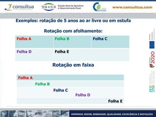 Exemplos: rotação de 5 anos ao ar livre ou em estufa
Rotação com afolhamento:
Rotação em faixa
Folha A Folha B Folha C
Folha D Folha E
Folha A
Folha B
Folha C
Folha D
Folha E
 