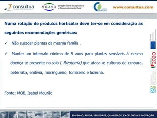 Numa rotação de produtos hortícolas deve ter-se em consideração as
seguintes recomendações genéricas:
 Não suceder plantas da mesma família .
 Manter um intervalo mínimo de 5 anos para plantas sensíveis à mesma
doença se presente no solo ( Rizotomia) que ataca as culturas de cenoura,
beterraba, endívia, morangueiro, tomateiro e luzerna.
Fonte: MOB, Isabel Mourão
 