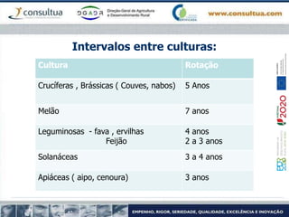 Intervalos entre culturas:
Cultura Rotação
Crucíferas , Brássicas ( Couves, nabos) 5 Anos
Melão 7 anos
Leguminosas - fava , ervilhas
Feijão
4 anos
2 a 3 anos
Solanáceas 3 a 4 anos
Apiáceas ( aipo, cenoura) 3 anos
 