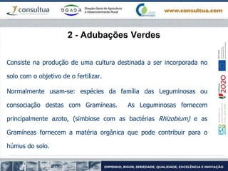 2 - Adubações Verdes
Consiste na produção de uma cultura destinada a ser incorporada no
solo com o objetivo de o fertilizar.
Normalmente usam-se: espécies da família das Leguminosas ou
consociação destas com Gramíneas. As Leguminosas fornecem
principalmente azoto, (simbiose com as bactérias Rhizobium) e as
Gramíneas fornecem a matéria orgânica que pode contribuir para o
húmus do solo.
 