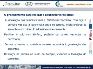 O procedimento para realizar a adubação verde inclui:
A inoculação das sementes com o Rhizobium específico, caso seja a
primeira vez que a leguminosa entra no terreno, misturando-se as
sementes com o inóculo adquirido comercialmente.
Fertilizar o solo com fósforo, potássio ou outros nutrientes se
necessário.
Semear e manter a humidade no solo necessária à germinação das
sementes.
Destroçar as plantas no início da floração, evitando a formação de
sementes.
 