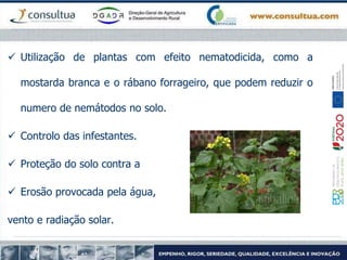  Utilização de plantas com efeito nematodicida, como a
mostarda branca e o rábano forrageiro, que podem reduzir o
numero de nemátodos no solo.
 Controlo das infestantes.
 Proteção do solo contra a
 Erosão provocada pela água,
vento e radiação solar.
 